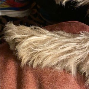 Meet your Posher, Steve